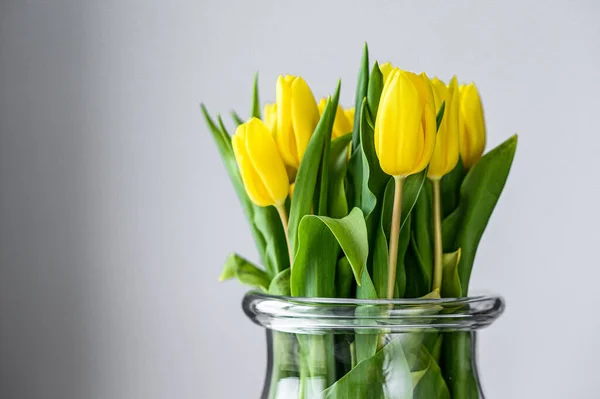 Un ramo de tulipanes amarillos en un jarrón de vidrio sobre un fondo blanco — Foto de Stock
