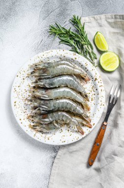 Beyaz bir tabakta taze çiğ kaplan karidesleri, karidesler ve baharatlar. Gri arka plan. Üst görünüm