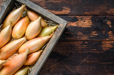 Tahta bir pazar kutusunda çiğ Shallot soğanı soğanı. Karanlık ahşap arka plan. Üst Manzara. Boşluğu kopyala