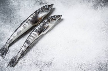 Mutfak masasında çiğ buz balığı. Beyaz arka plan. Üst Manzara. Boşluğu kopyala