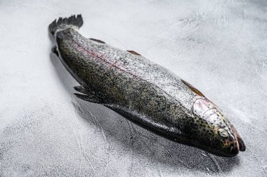 Masadaki çiğ Gökkuşağı alabalığı balığı. Beyaz arka plan. Üst görünüm