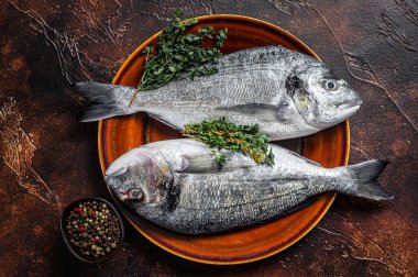 Çiğ deniz çipurası balığı ve yemek pişirmek için malzeme. Karanlık arka plan. Üst görünüm