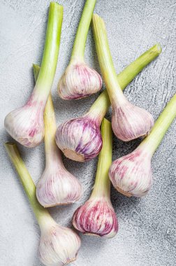 Genç sarımsak soğanlarını mutfak masasına bırak. Beyaz arka plan. Üst görünüm