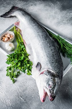 Çiğ deniz somonu, bütün balığı otlarla dolu bir tepside. Beyaz arka plan. Üst görünüm