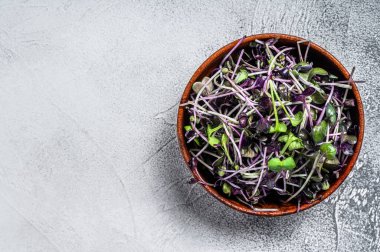 Tahta bir kasede mikroyeşil turp teresi filizleniyor. Beyaz arka plan. Üst Manzara. Boşluğu kopyala