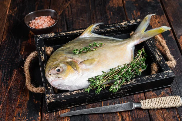 Syrové rybí máslové nebo pompano s bylinkami v dřevěném podnosu. Tmavé dřevěné pozadí. Horní pohled — Stock fotografie