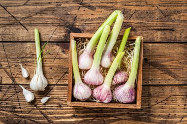 Genç bahar sarımsak soğanları ve karanfiller tahta kutuda. Ahşap arka plan. Üst görünüm