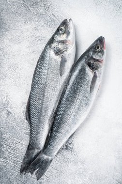 Mutfak masasında taze çiğ deniz kabuğu balığı. Beyaz arka plan. Üst görünüm