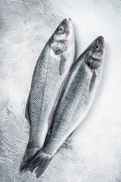 Mutfak masasında taze çiğ deniz kabuğu balığı. Beyaz arka plan. Üst görünüm