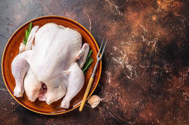 Tavuk, çiğ kümes hayvanları ve biberiye. Karanlık arka plan. Üst Manzara. Boşluğu kopyala