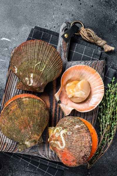 Uncooked Raw Queen Scallops on a wooden board. Black background. Top view — Stock Photo, Image