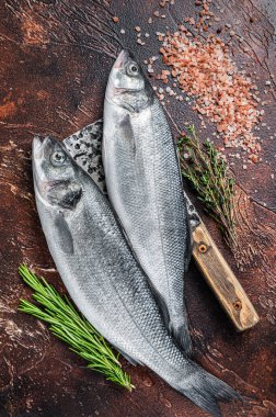 Tuzlu ve otlu bir satırda deniz levreği ya da deniz levreği taze çiğ balık. Karanlık arka plan. Üst görünüm