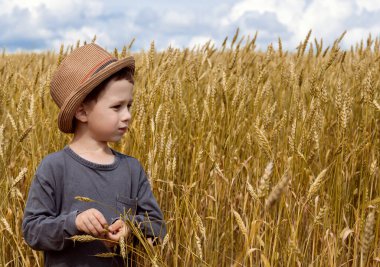 Buğday tarlasında şapkalı bir çocuk. Kırsal giyinmiş güzel bir çocuk mavi gökyüzüne karşı buğday tarlasında duruyor. Altın çavdar, buğday. Sonbahar.