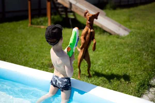 Chlapec Bazénu Hraje Vodní Pistolí Vystřelí Proud Vody Psa Pes — Stock fotografie