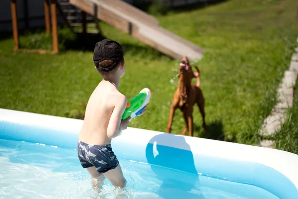 Chlapec Bazénu Hraje Vodní Pistolí Vystřelí Proud Vody Psa Pes — Stock fotografie