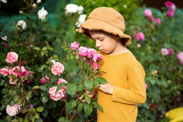 Niño Con Sombrero Huele Rosas Jardín —  Fotos de Stock