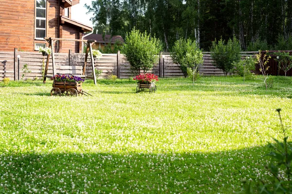 Decorative wooden carts with flowers on a lawn made of clover on the background of a wooden house and trees
