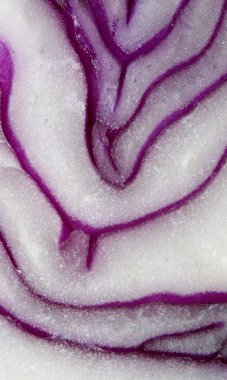 Viski kale bölümü makro