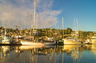 Newport, Oregon, ABD, 10 Haziran 2020. Newport Limanı. Balıkçı tekneleri.