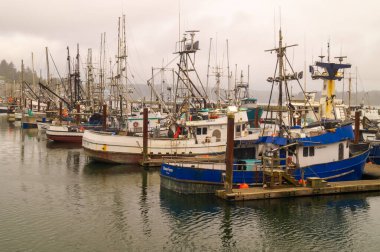 Newport, Oregon, ABD, 10 Haziran 2020. Newport Limanı. Balıkçı tekneleri.