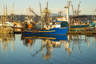 Newport, Oregon, ABD, 10 Haziran 2020. Newport Limanı. Balıkçı tekneleri.
