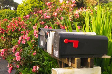 Posta kutusu. Sokakta bir posta kutusu. Şartlı tahliye. Kutu.