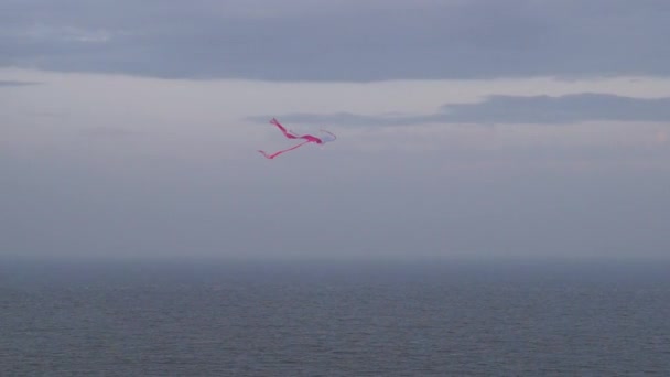 Cometa Frente Mar Cometa Eleva Alto Cielo — Vídeos de Stock