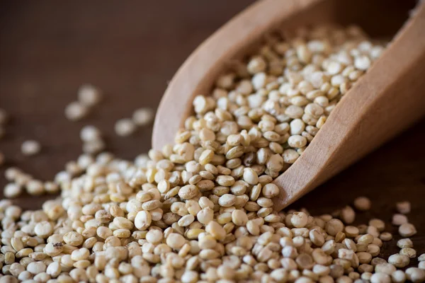 Quinoa — Foto Stock