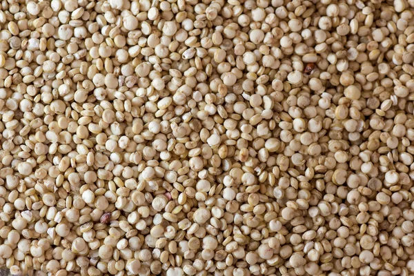 Quinoa — Foto Stock