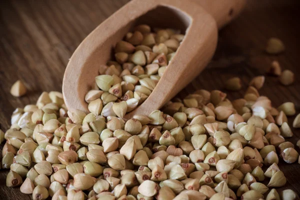 Grano saraceno crudo — Foto Stock