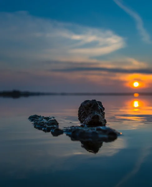 Stone in the water at sunset — Stock Photo, Image