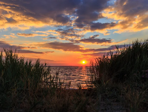 Golden sunset on the sea — Stock Photo, Image