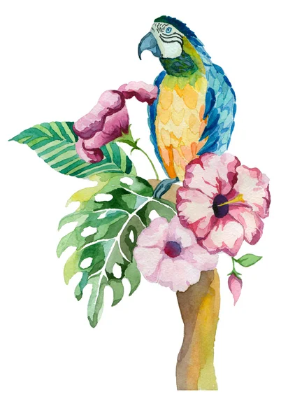 Papagaio aquarela com flores exóticas e folhas —  Vetores de Stock