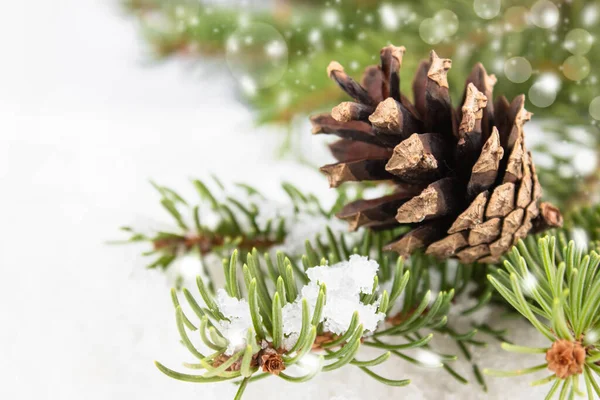 Composizione Natale Con Rami Verdi Albero Natale Coni Vacanze Natale — Foto Stock