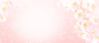 Pastel bahar arkaplanı, küçük yasemin çiçekleri, seçici odak, tonlama