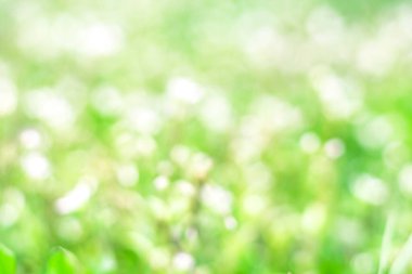 Bahar ya da yaz soyut yeşil arka plan. Arkaplan için bulanık doğa bokeh