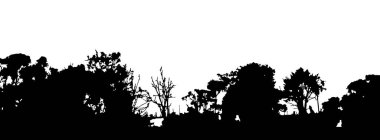 Dağ çizimi, açık hava macerası. Güzel doğal manzara