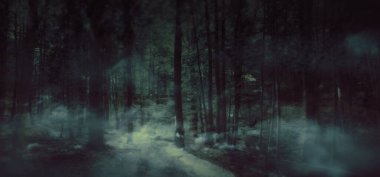 Cadılar Bayramı sisli karanlık arka plan. Orman ağaçları