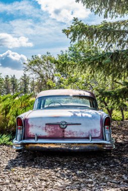 Martı Gölü, 21 Ağustos 2020, ağaçlarla çevrili terk edilmiş bir 1956 Buick Special.