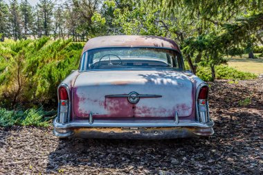 Martı Gölü, 21 Ağustos 2020, ağaçlarla çevrili terk edilmiş bir 1956 Buick Special.
