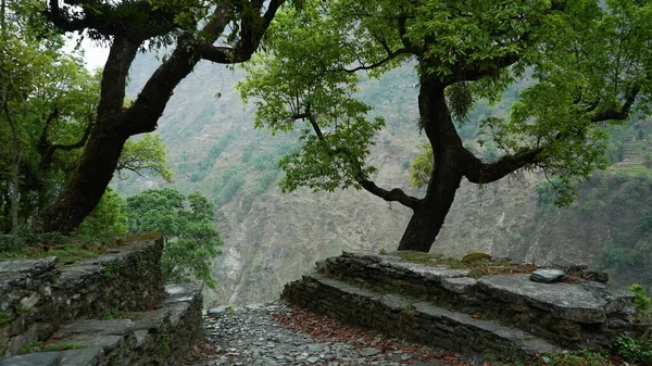 Rustige Foto Van Bomen Tegen Achtergrond Van Himalaya Annapurna Spoor — Stockfoto