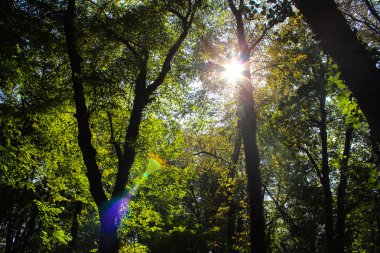 Park la Grange, Geneva, İsviçre