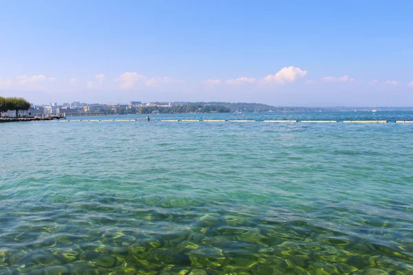 Geneva, İsviçre - Eylül 07: Yerli yıkanmak Cenevre Gölü içinde 