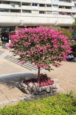La Defense, Paris bahçelerinde