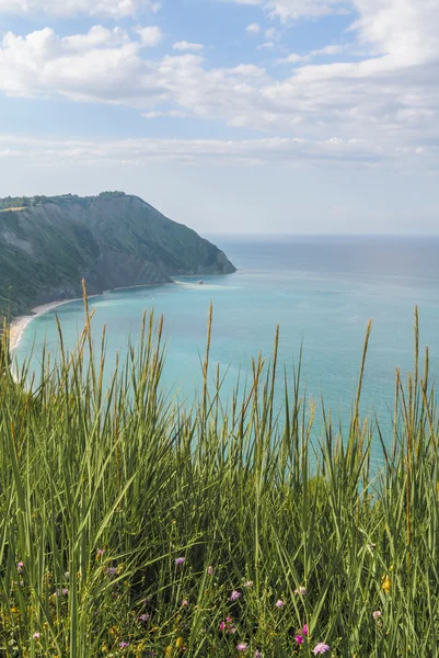 Conero pláž v marche, Itálie — Stock fotografie