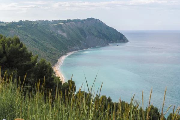 Conero pláž v marche, Itálie — Stock fotografie