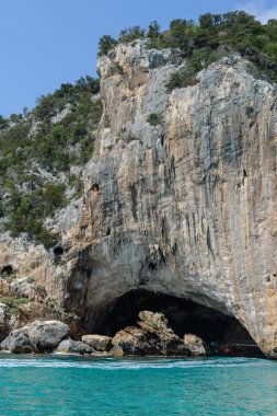 rosei sardina içinde. İtalya