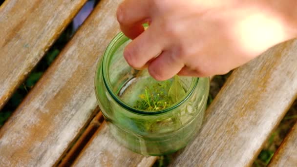 Pot aux concombres, cuisson cornichons marinés — Video