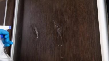 Eldivenli bir kadın temizlik malzemesi ve bez ile mobilyaları siler, evi temizler.
