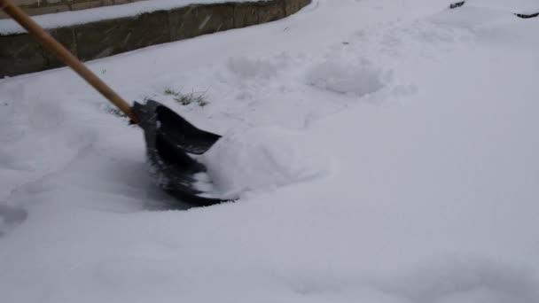 Pulizia neve in cortile in una nevicata primo piano — Video Stock